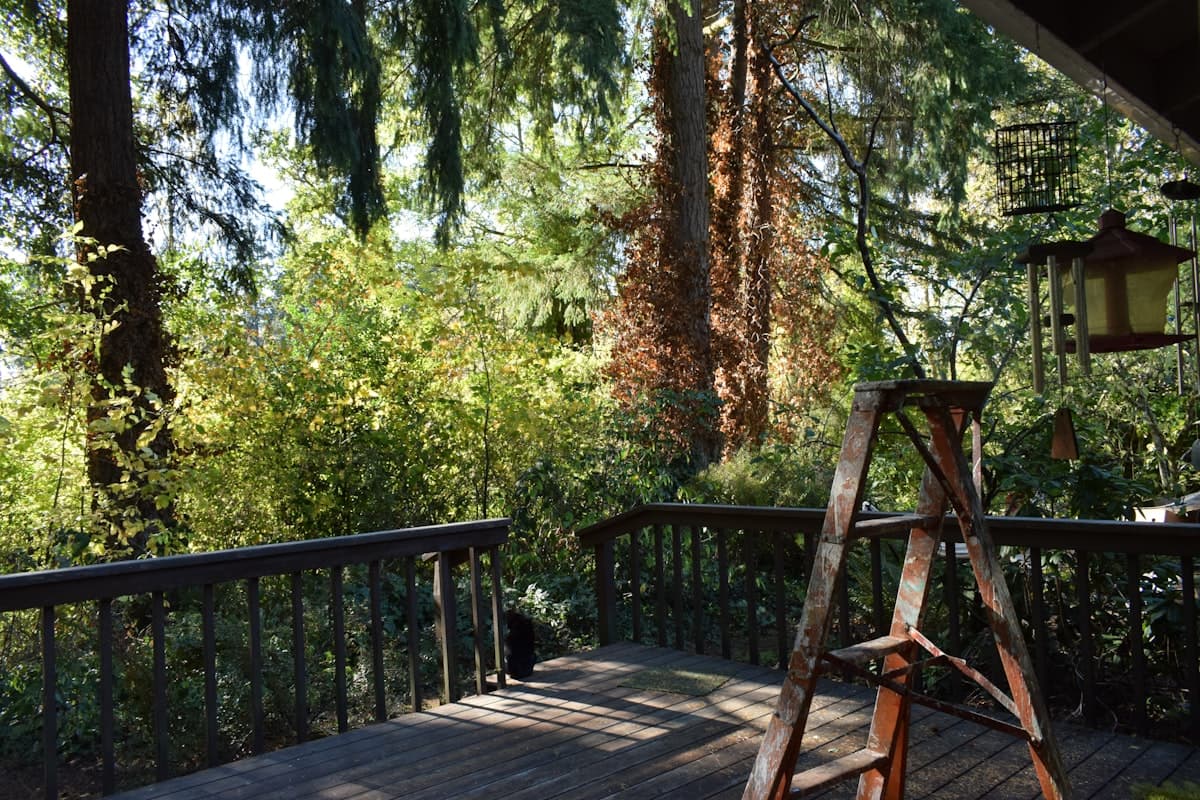 How Long Does a Deck Last? Lifespan by Material and When to Repair vs. Replace