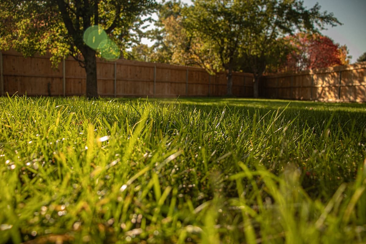 Privacy Fence Cost Guide: What Homeowners Pay in 2026