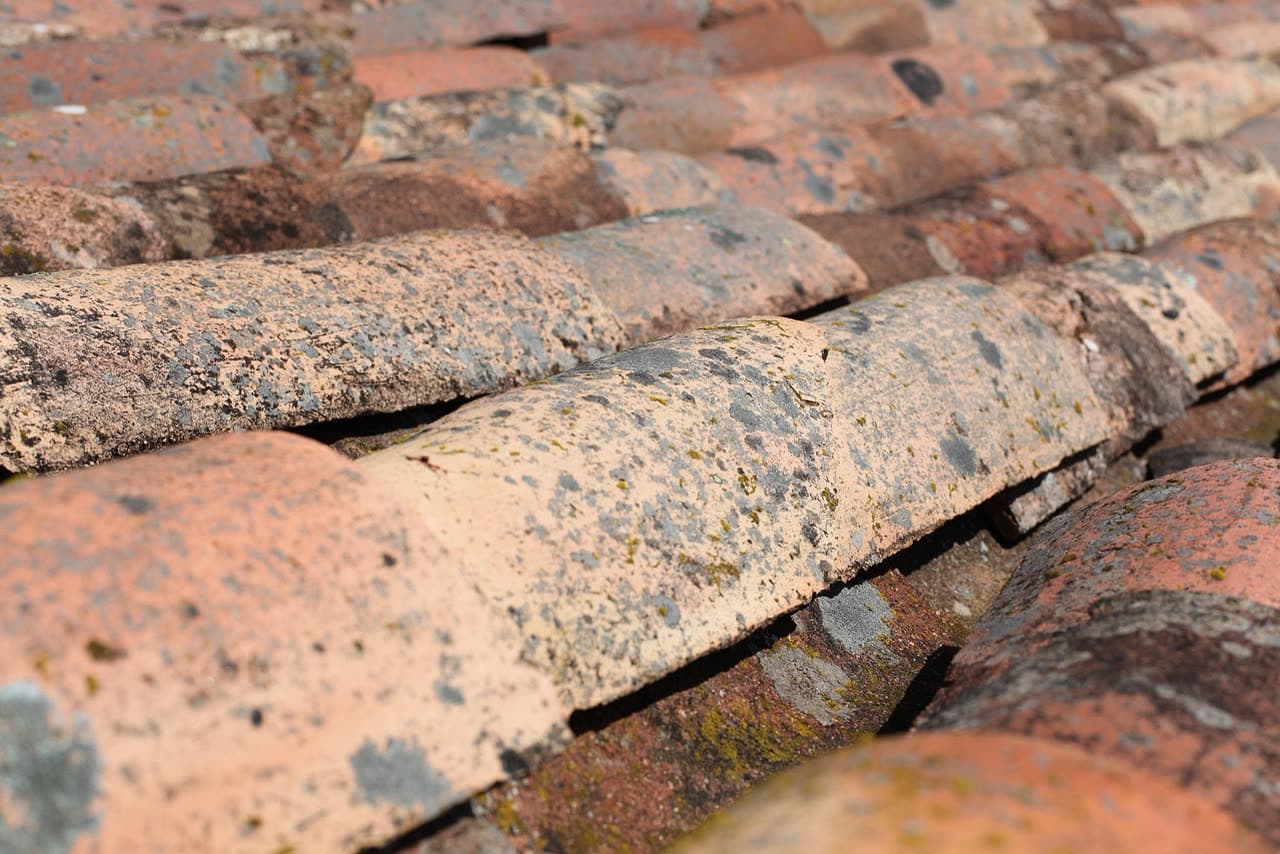 Roof Repair Cost in the Midwest 2026: Common Fixes Priced