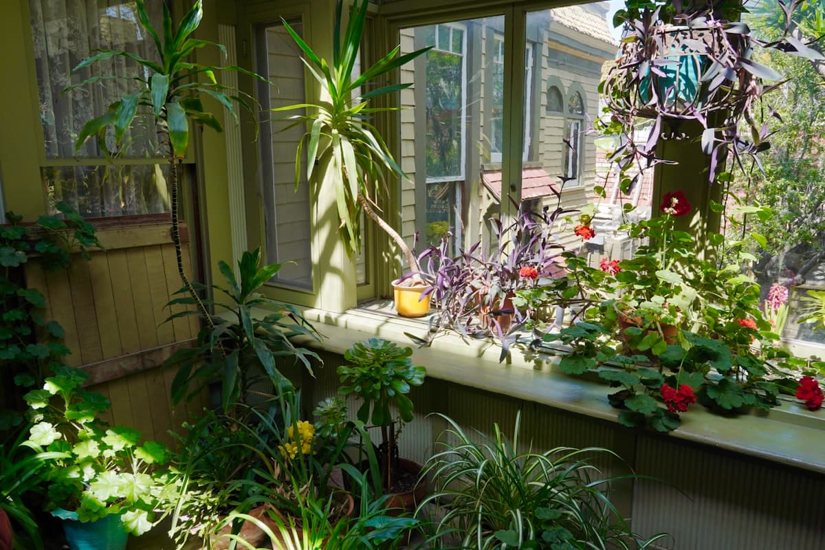 Sunroom ROI: What a Sunroom Actually Does to Your Home's Value