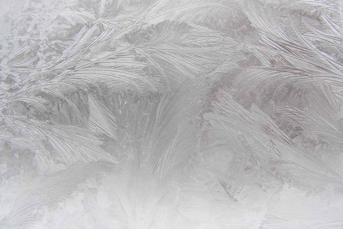 Window Condensation in Winter: Humidity or Bad Seal?