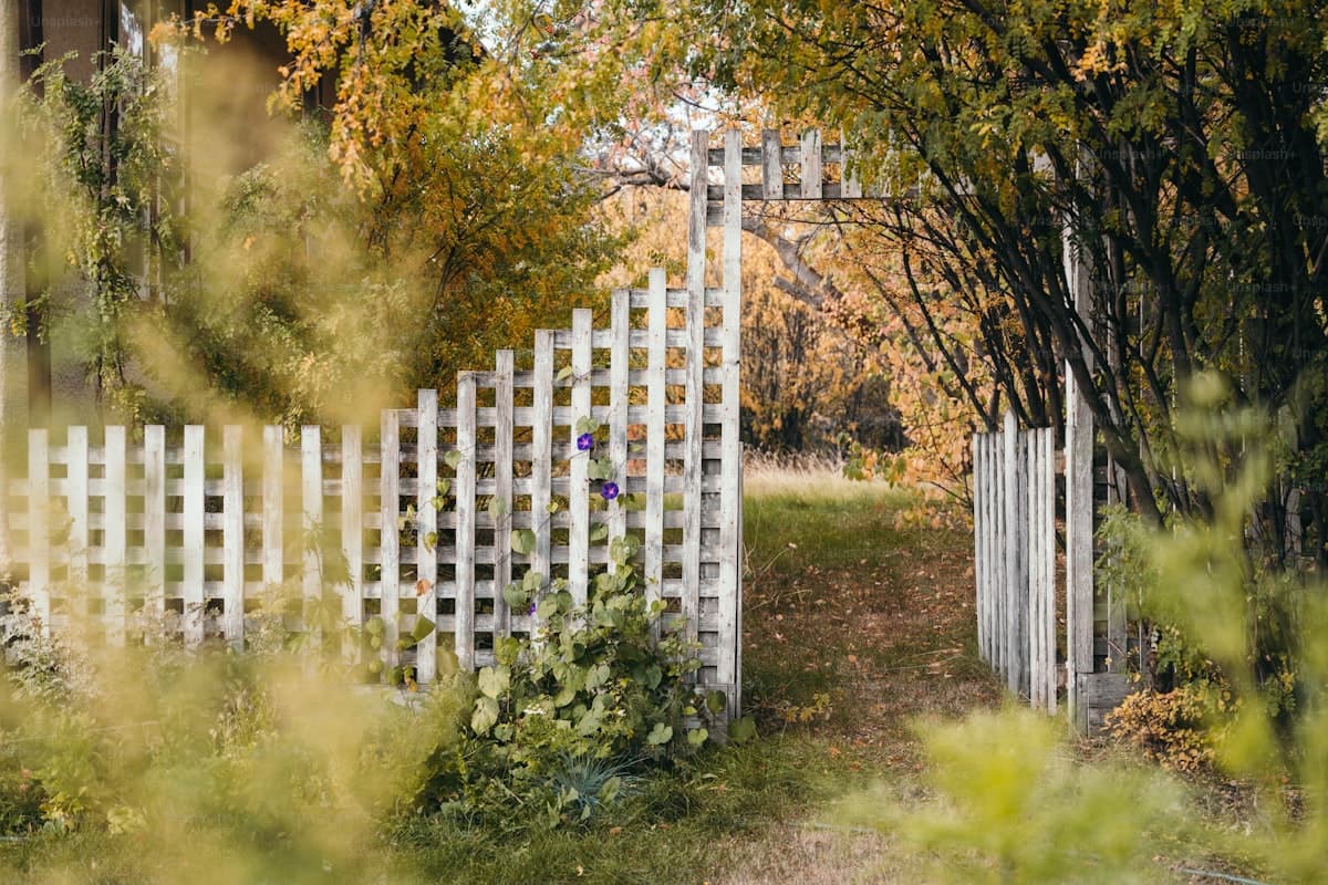 Wood vs. Vinyl Fence: Which Is Better in 2026?